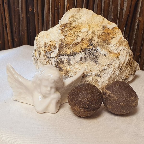 Moqui Marble - lebende Steine inkl. Echtheitszertifikat. Jedes Pärchen ein Unikat! (ca. 30 - 35 mm)