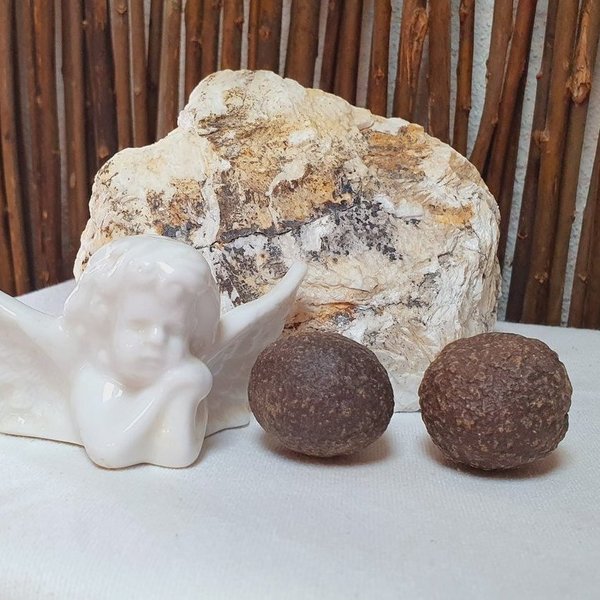 Moqui Marble - lebende Steine inkl. Echtheitszertifikat. Jedes Pärchen ein Unikat! (ca. 25 - 28 mm)
