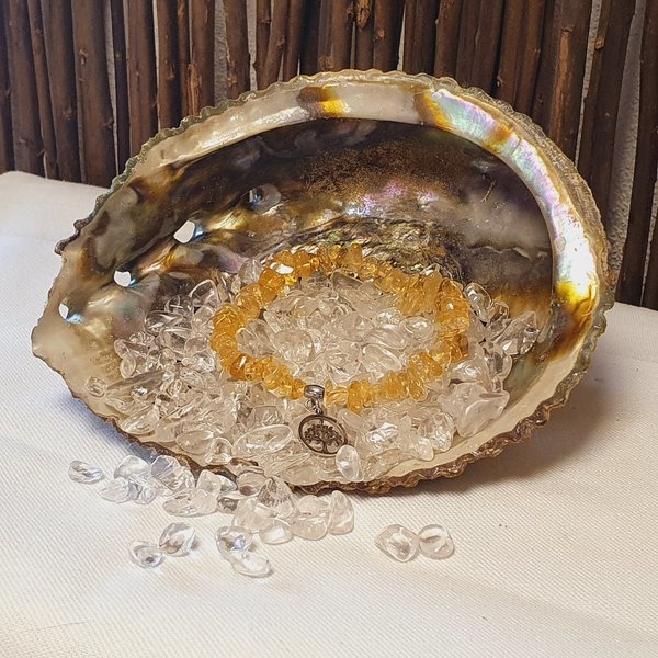 Abalone Muschel (Seeohr) Räucherschale in versch. Größen