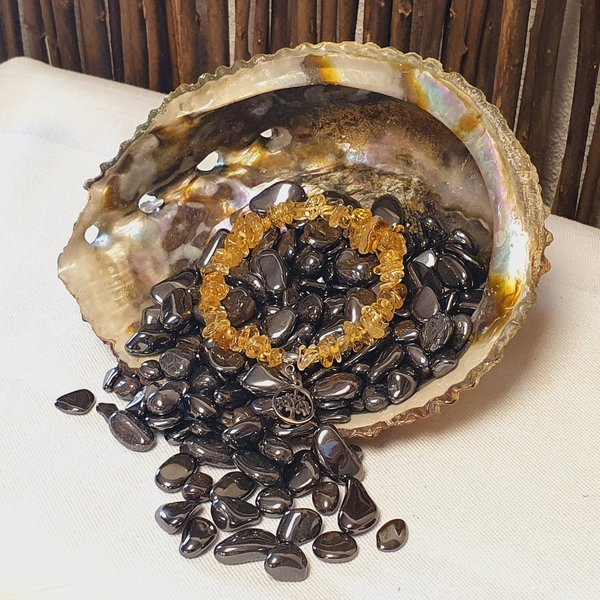 Abalone Muschel (Seeohr) Räucherschale in versch. Größen