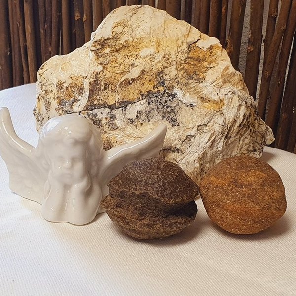Moqui Marble - lebende Steine inkl. Echtheitszertifikat. Jedes Pärchen ein Unikat! (ca. 35 - 38 mm)