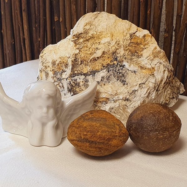 Moqui Marble - lebende Steine inkl. Echtheitszertifikat. Jedes Pärchen ein Unikat! (ca. 35 - 38 mm)